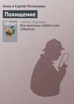 Скачать книгу Похищение автора Анна и Сергей Литвиновы