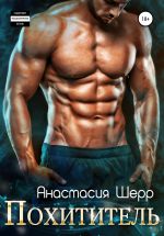 Скачать книгу Похититель автора Анастасия Шерр