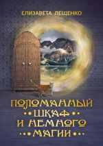 Скачать книгу Поломанный шкаф и немного магии автора Елизавета Лещенко