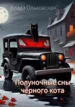 Скачать книгу Полуночные сны чёрного кота автора Влада Ольховская