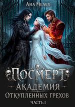 Скачать книгу Посмерт. Академия откупленных грехов автора Ана Мелех