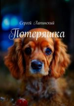 Скачать книгу Потеряшка автора Сергей Лапинский