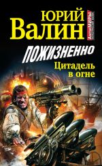 Скачать книгу Пожизненно. Цитадель в огне автора Юрий Валин