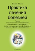 Скачать книгу Практика лечения болезней автора Евгений Лебедев