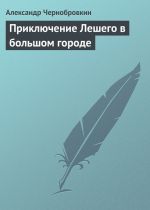 Скачать книгу Приключение Лешего в большом городе автора Александр Чернобровкин
