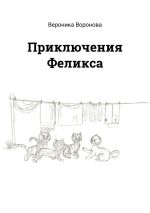 Скачать книгу Приключения Феликса автора Вероника Воронова