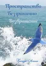 Скачать книгу Пространство безгранично: Возвращение автора Алина Грищук