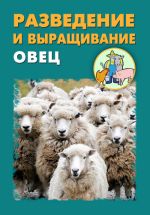 Скачать книгу Разведение и выращивание овец автора Илья Мельников