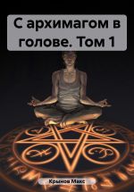 Скачать книгу С архимагом в голове. Том 1 автора Макс Крынов
