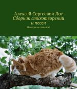 Скачать книгу Сборник стихотворений и песен. Никогда не сдавайся! автора Алексей Лот