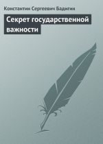 Скачать книгу Секрет государственной важности автора Константин Бадигин