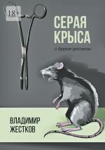 Скачать книгу Серая крыса и другие рассказы автора Владимир Жестков