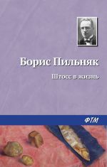 Скачать книгу Штосс в жизнь автора Борис Пильняк