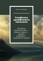 Скачать книгу Симфония дрейфующих обломков автора Павел Галандров