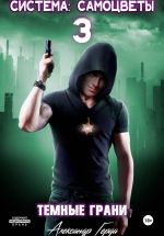 Скачать книгу Система-Самоцветы 3: Темные Грани автора Александр Герда