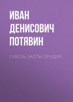 Скачать книгу Сквозь залпы орудий автора Иван Потявин