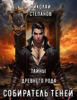 Скачать книгу Собиратель теней. Тайны древнего замка автора Николай Степанов