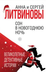 Скачать книгу Сон в новогоднюю ночь (сборник) автора Анна и Сергей Литвиновы