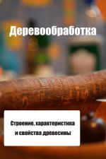 Скачать книгу Строение, характеристика и свойства древесины автора Илья Мельников