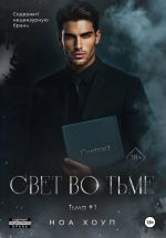 Скачать книгу Свет во тьме автора Ноа Хоуп
