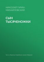 Скачать книгу Сын тысяченожки автора Николай Гарин-Михайловский