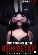 Скачать книгу Сюрприз для конфетки: трое на одну автора ДОМИНАТРИКС