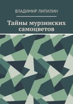 Скачать книгу Тайны мурзинских самоцветов автора Владимир Липилин