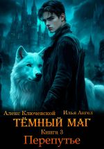 Скачать книгу Тёмный маг. Книга 3. Перепутье автора Алекс Ключевской (Лёха)