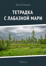 Скачать книгу Тетрадка с лабазной мари автора Виктор Квашин