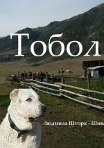 Скачать книгу Тобол автора Людмила Шторк-Шива