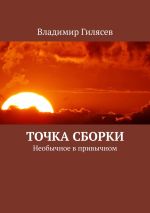 Скачать книгу Точка сборки. Необычное в привычном автора Владимир Гилясев