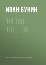 Скачать книгу Третий Толстой автора Иван Бунин