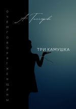 Скачать книгу Три камушка. О чём говорят женщины автора Александра Гиллярова