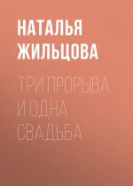 Скачать книгу Три прорыва и одна свадьба автора Наталья Жильцова