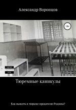 Новая книга Тюремные каникулы автора Александр Воронцов