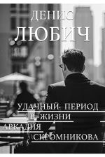 Скачать книгу Удачный период в жизни Аркадия Скромникова автора Денис Любич