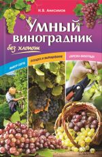 Скачать книгу Умный виноградник без хлопот автора Николай Анисимов