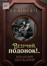 Скачать книгу «Везучий, подонок!..». Роман-квест автора Стэн Голем