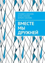 Скачать книгу Вместе мы дружней автора Елизавета Соколова