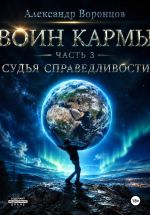 Скачать книгу Воин Кармы. Часть 3. Судья Справедливости автора Александр Воронцов