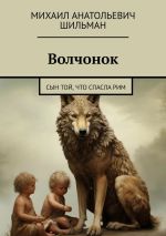 Скачать книгу Волчонок. Сын той, что спасла Рим автора Михаил Шильман