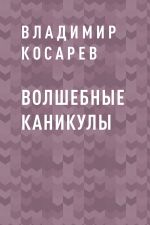 Скачать книгу Волшебные каникулы автора Владимир Косарев