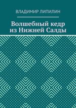 Скачать книгу Волшебный кедр из Нижней Салды автора Владимир Липилин