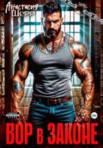 Новая книга Вор в законе автора Анастасия Шерр