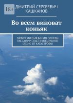 Скачать книгу Во всем виноват коньяк. Может ли пьяный до синевы пассажир спасти воздушное судно от катастрофы автора Дмитрий Кашканов