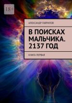 Скачать книгу В поисках мальчика. 2137 год. Книга первая автора Александр Гаврилов