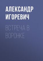 Новая книга Встреча в воронке автора Александр Игоревич