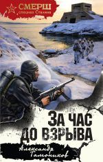 Скачать книгу За час до взрыва автора Александр Тамоников