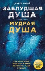 Скачать книгу Заблудшая душа – мудрая душа. Как испытания прошлых жизней формируют наше будущее автора Карен Джой