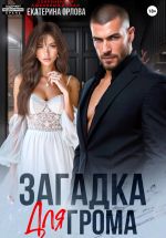 Скачать книгу Загадка для Грома автора Екатерина Орлова